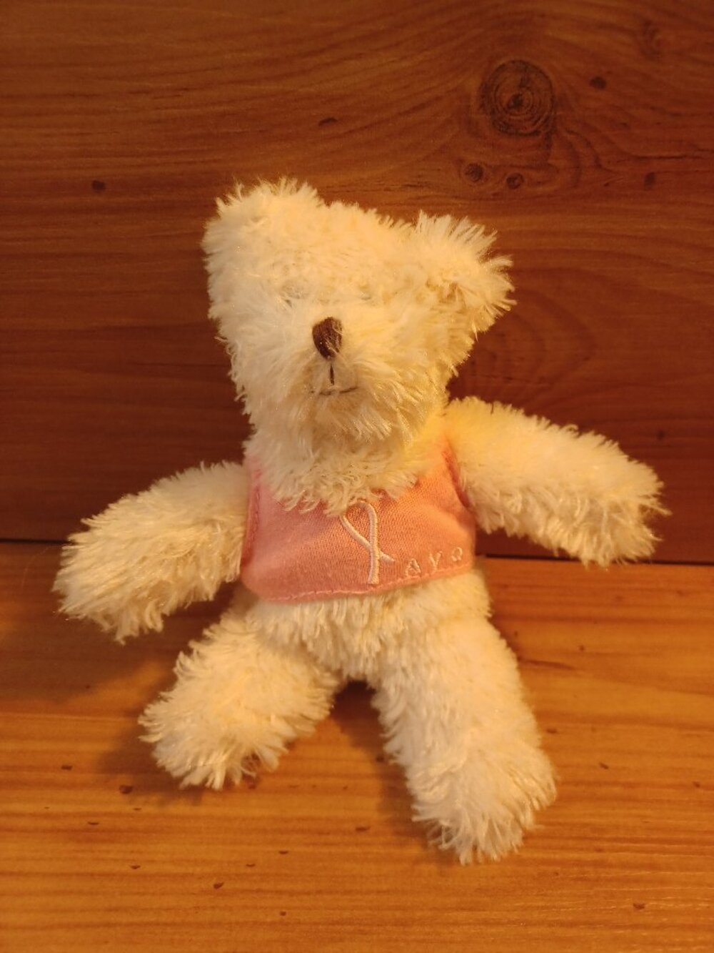 Avon Breast Cancer Fundraiser Teddy Bean